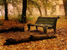 nature-wallpaper-autumn-fall_1600x1200