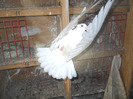 DSCN3427