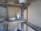 DSCN3481