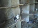 DSCN3489