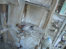 DSCN3493