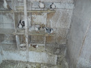 DSCN3515