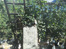 DSCN3534