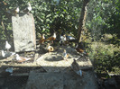 DSCN3536