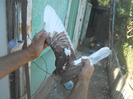 DSCN3601