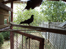 DSC00260