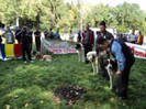 ilisesti 2011 53