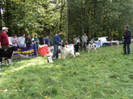 ilisesti 2011 64