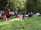 ilisesti 2011 65