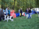 ilisesti 2011 9