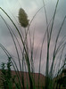 Imag069