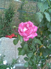 Imag048
