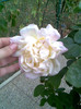 Imag049