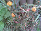 Imag059