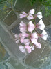 Imag061