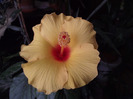 DSCF8885