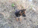 DSCN0134