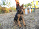 DSCN0136