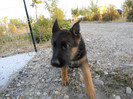 DSCN0139