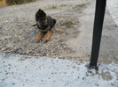 DSCN0142