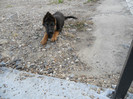DSCN0143