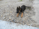 DSCN0145