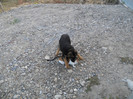 DSCN0146