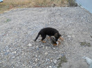 DSCN0148