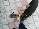 DSCN0150