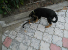 DSCN0151