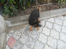 DSCN0152
