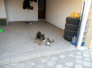 DSCN0154