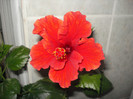 DSC00469