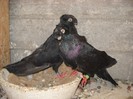 DSCN1380