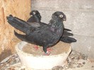 DSCN1387