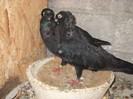 DSCN1388