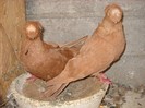 DSCN1393