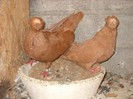 bimotati 04.10.2011