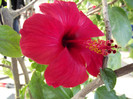 DSCF5412