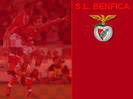 Poze Cluburi Portugalia Benfica Lisabona
