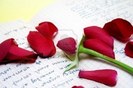9099470-rose-petals-on-the-old-script-over-yellow-background