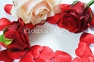 dep_2028868-Love-message-roses-and-hearts-confetti