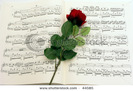 stock-photo-music-rose-44585