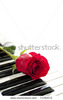 stock-photo-red-rose-on-piano-keyboard-71783572