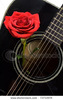 stock-photo-red-rose-positioned-inside-an-old-black-acoustic-guitar-73733974