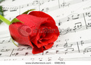 stock-photo-red-rose-rests-on-piano-sheet-music-6981961