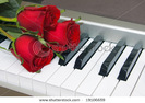 stock-photo-red-roses-on-the-keyboard-of-the-piano-19106659