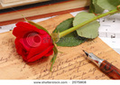 stock-photo-red-silky-rose-with-vintage-pen-and-letter-2575868