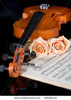 stock-photo-sheet-music-of-the-wedding-march-with-roses-and-violin-48656155