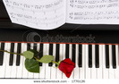stock-photo-sheet-music-with-rose-piano-1776126